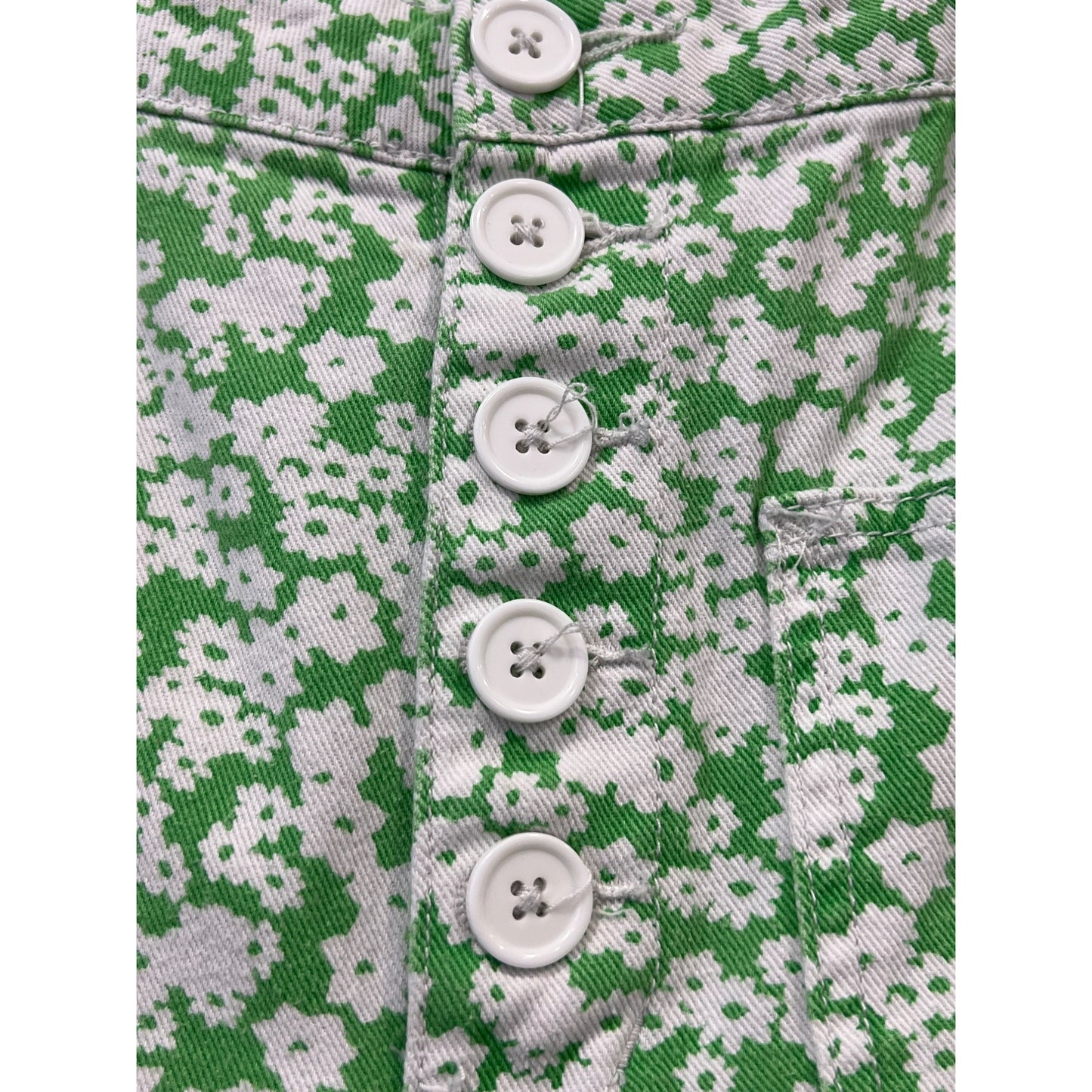 BDG Urban Outfitters Straight Leg Floral Pants Womens 29 Button Fly Green White