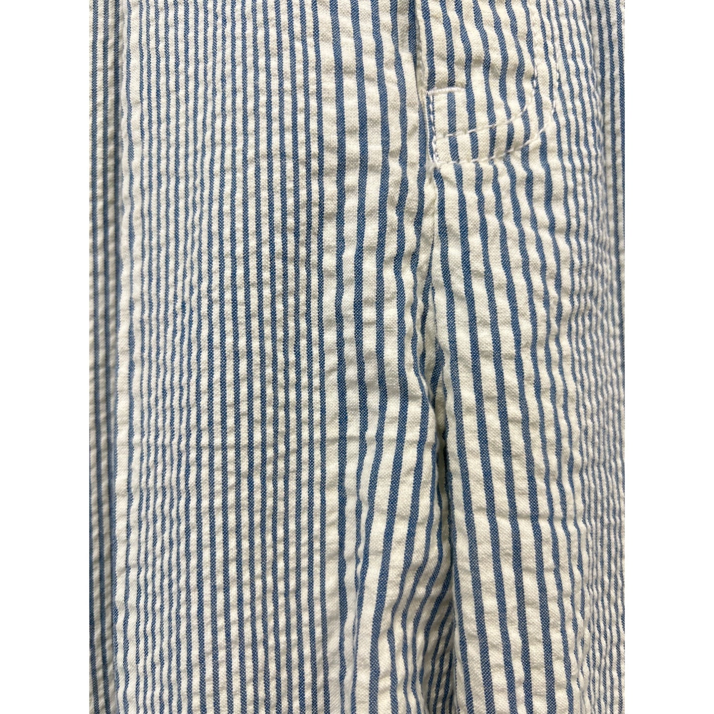 Free People Make A Stand Trouser Pants Womens M Striped Blue White Cotton Casual